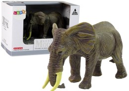 Duża Figurka Kolekcjonerska Słoń Zwierzęta Świata Import LEANToys