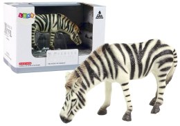 Duża Figurka Kolekcjonerska Zebra Zwierzęta Świata Import LEANToys