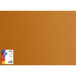 Karton kolorowy CREATINIO A1 160G (25 ark.) 19 brązowy 400149528 TOP 2000