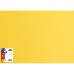 Karton kolorowy CREATINIO A1 160G (25 ark.) 55 żółty 400149553 TOP 2000